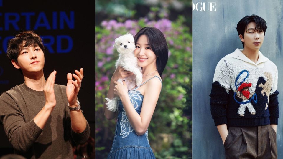 7 High IQ Korean Celebs: Meet the Stars Who Stun with Genius-Level IQs