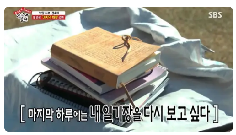 Kim Soo Mi Diary