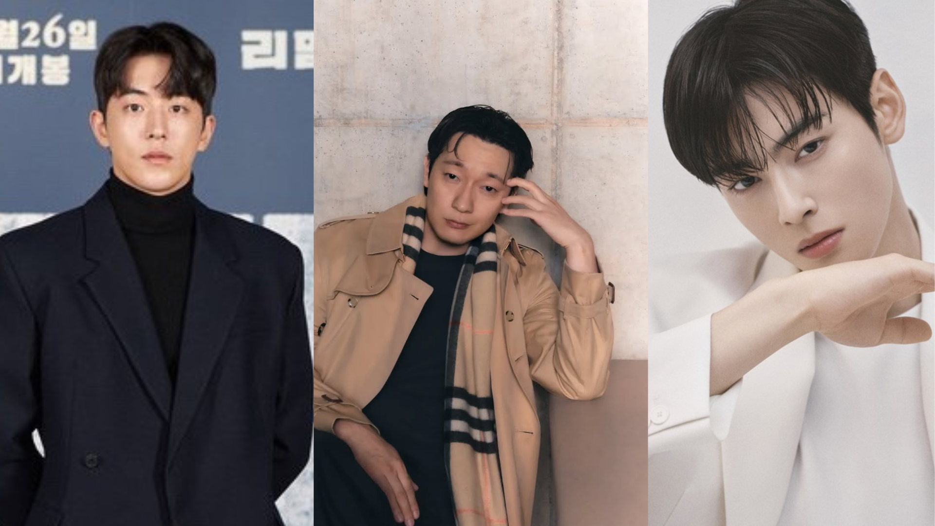 Top 10 Korean Male Celebrities in 2024, According to Gay Men: From Mingyu to Nam Yoon Soo