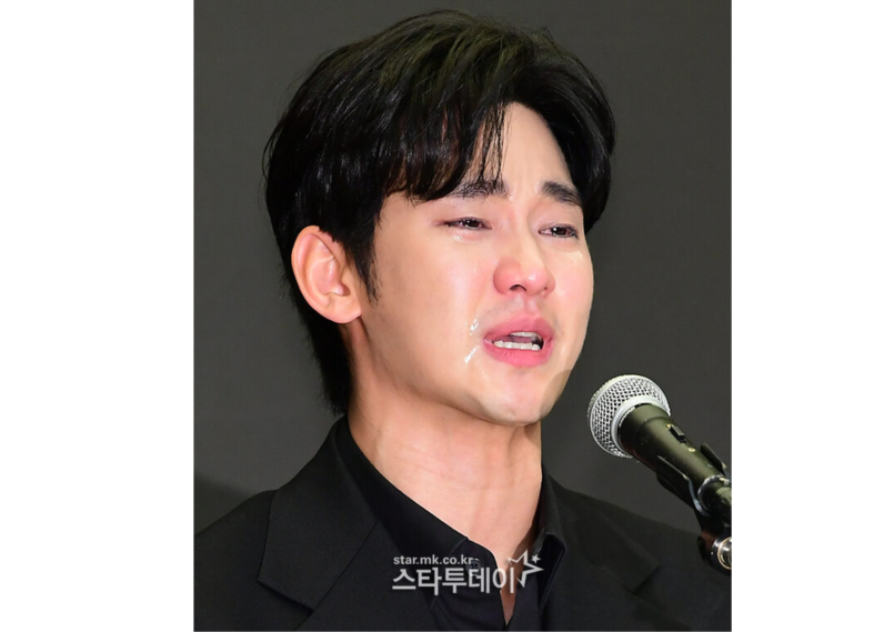 Kim Soo Hyun