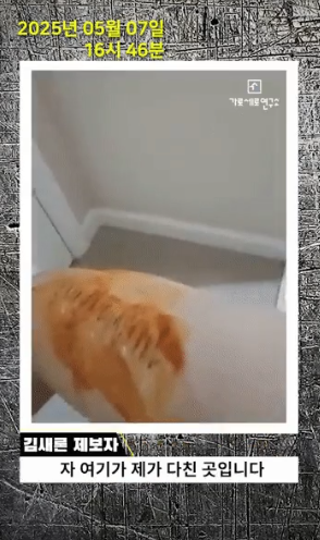 cm