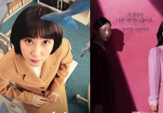 Ms. Incognito/Extraordinary Attorney Woo