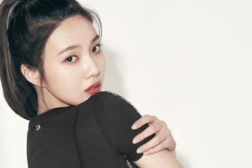 Red Velvet Joy